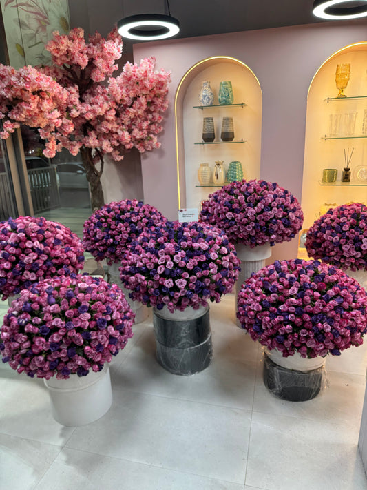 500 Purple Roses Box