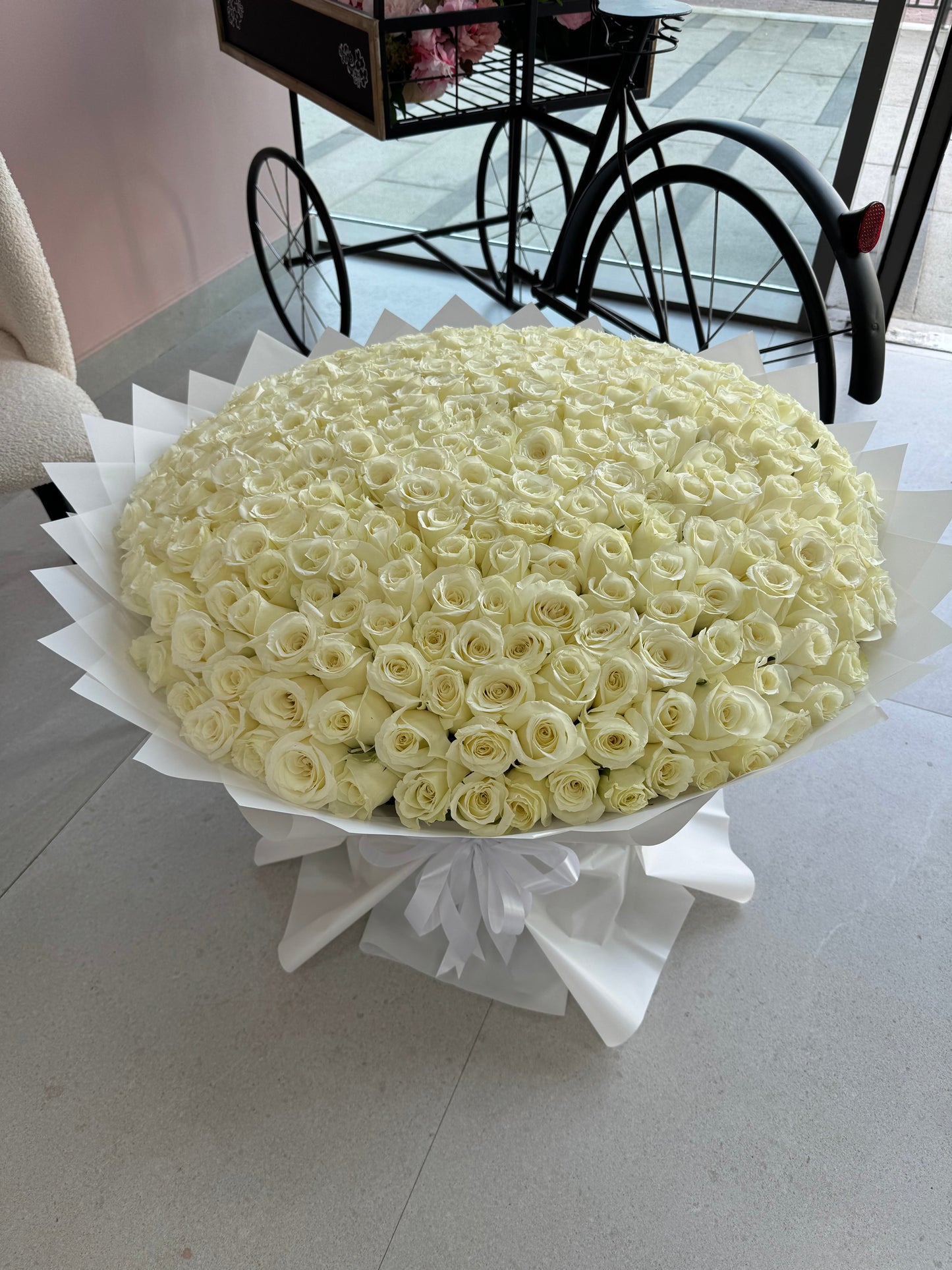 300 White Roses Beauty