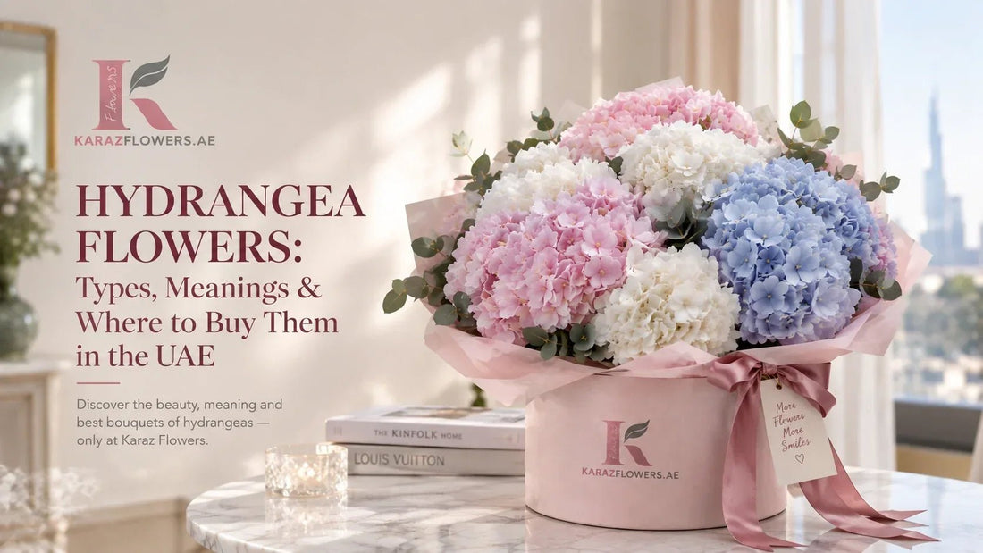 Hydrangea Flowers: Types, Meanings & Where to Buy Them in the UAE | Karaz Flower - karazflowers.ae