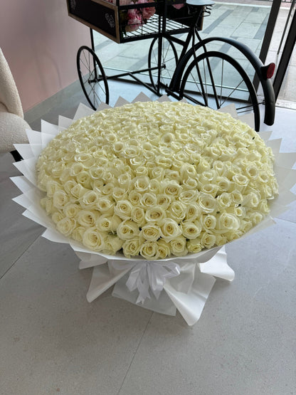 300 White Roses Bouquet - karazflowers.ae