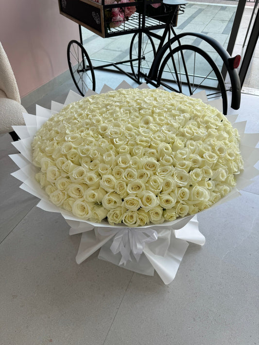 300 White Roses Bouquet - karazflowers.ae