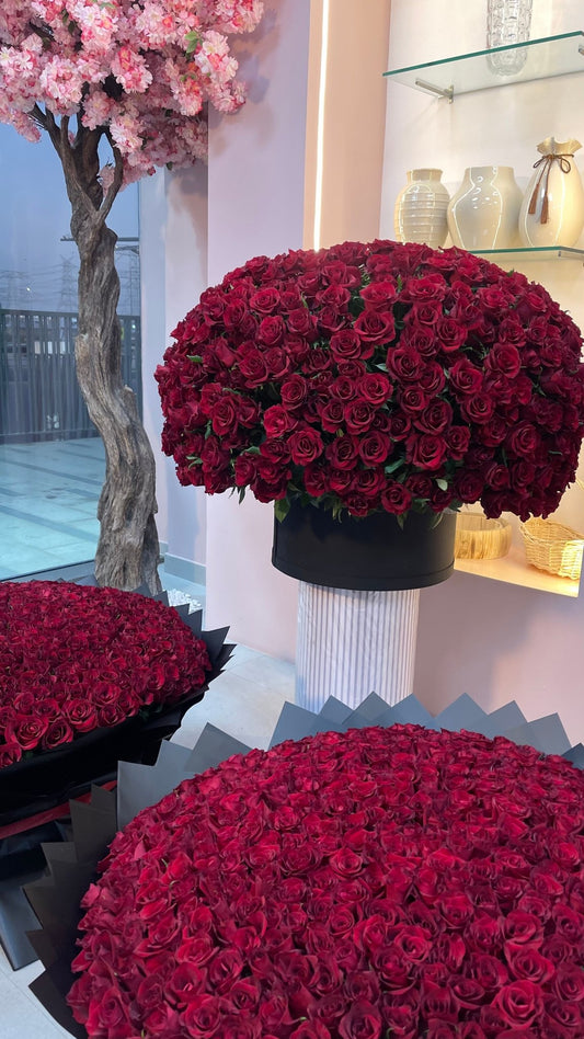 500 Red Roses Box - karazflowers.ae