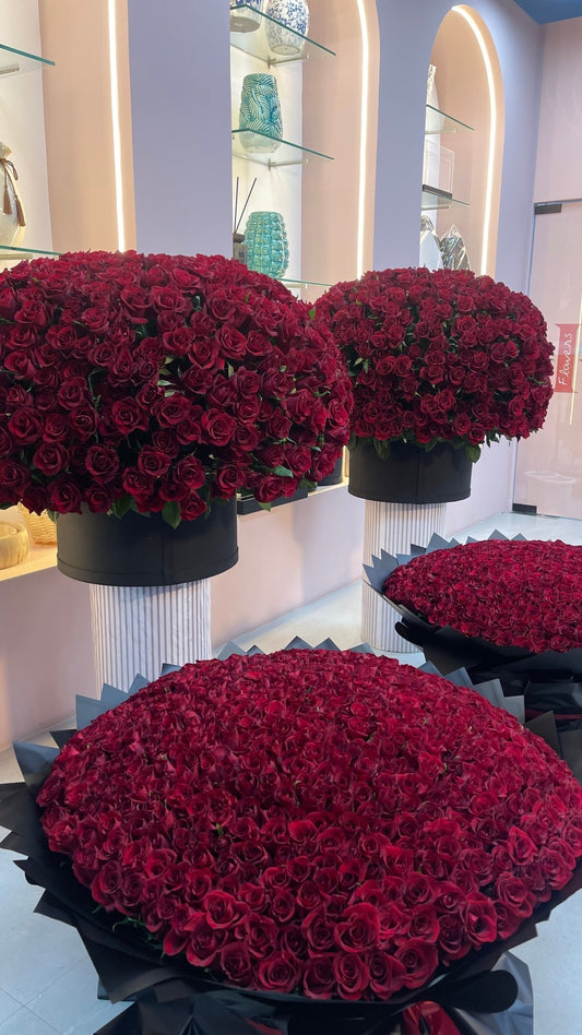 500 Red Roses Box - karazflowers.ae