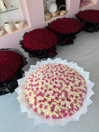 500 White & Pink Roses Elegance