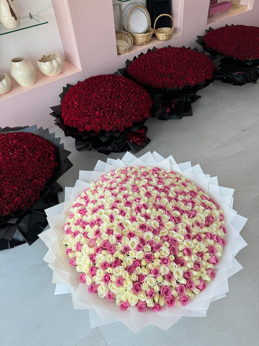 500 White & Pink Roses Elegance - karazflowers.ae