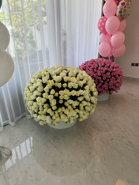 500 White Roses Box