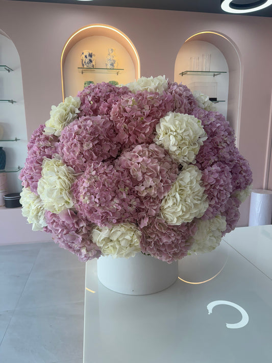 51 Pink & White Hydrangeas Box