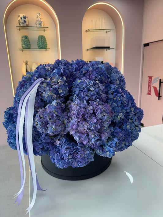 Blue 51 Hydrangeas Box - karazflowers.ae