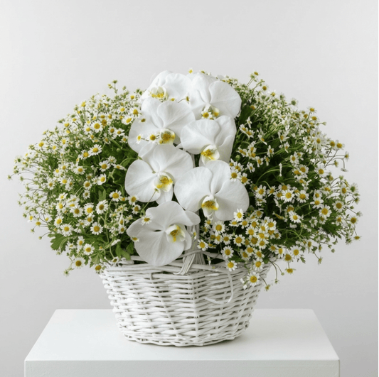 Serene Orchid & Daisy Basket - karazflowers.ae