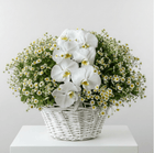 Serene Orchid & Daisy Basket - karazflowers.ae