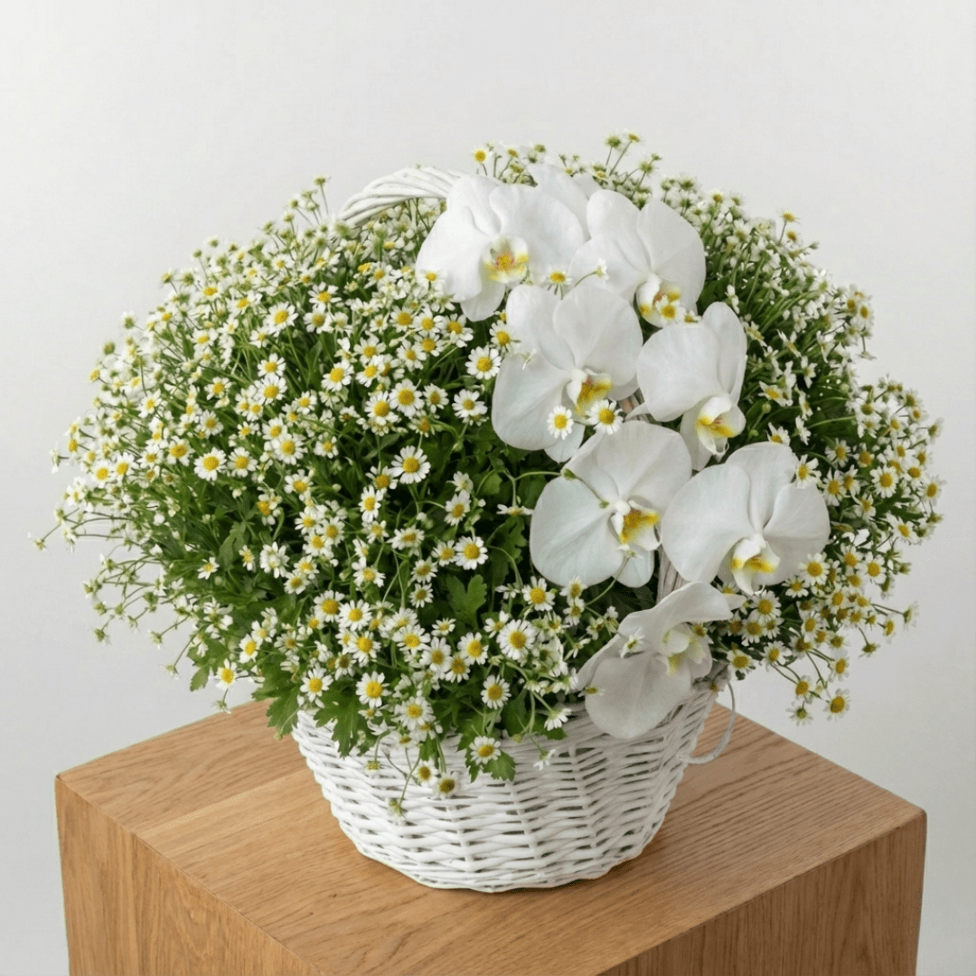 Serene Orchid & Daisy Basket - karazflowers.ae