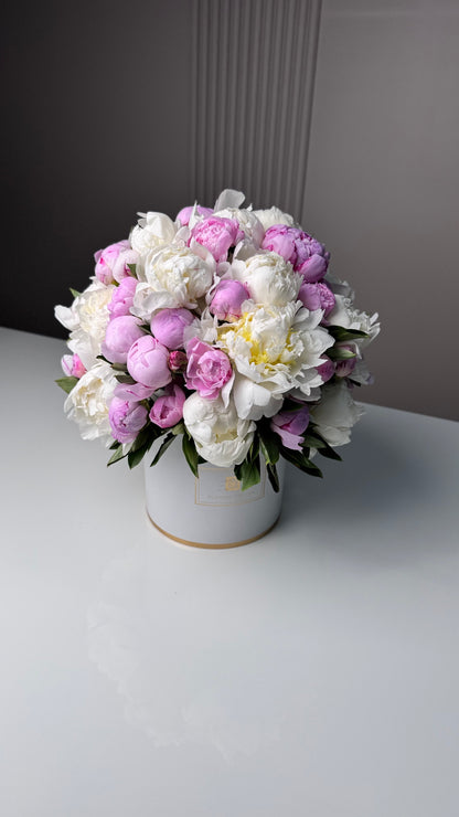 white and pink peonies
